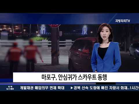 마포구, 안심귀가 스카우트 동행
