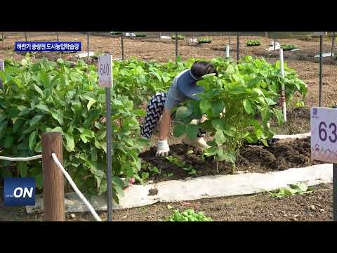 동대문구, 하반기 중랑천 도시농업학습장